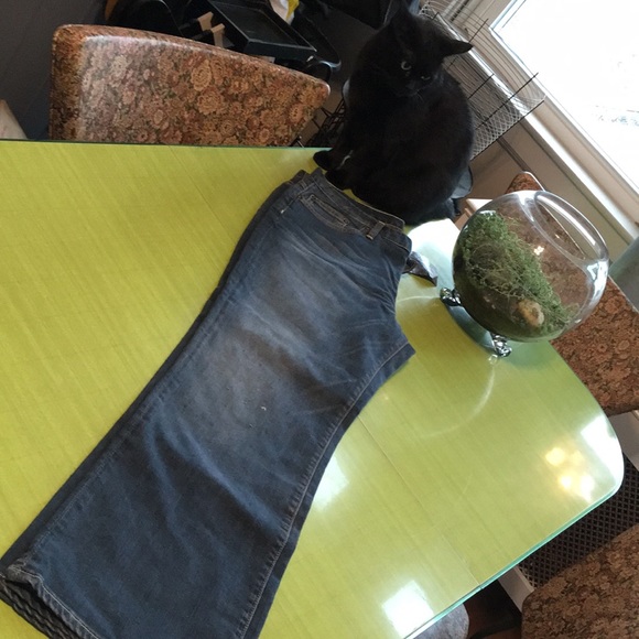 Future RX Jeans. Size 32. NWT. - Picture 5 of 5